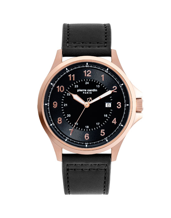 Часы Pierre Cardin Gents PC902381F113